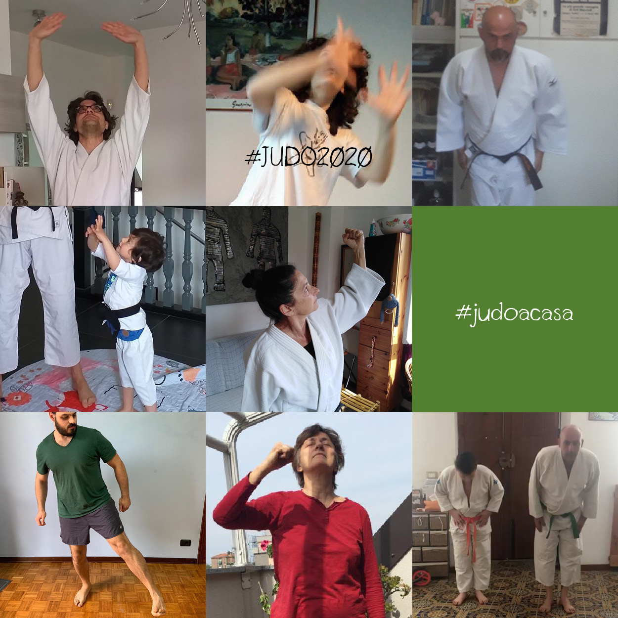 judoacasa5